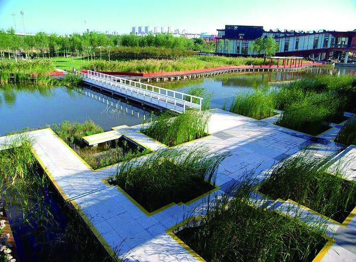 天津桥园公园绿化项目